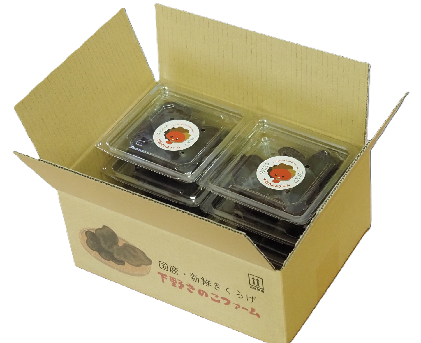 希少・国産 生きくらげ 50g x6パックセット