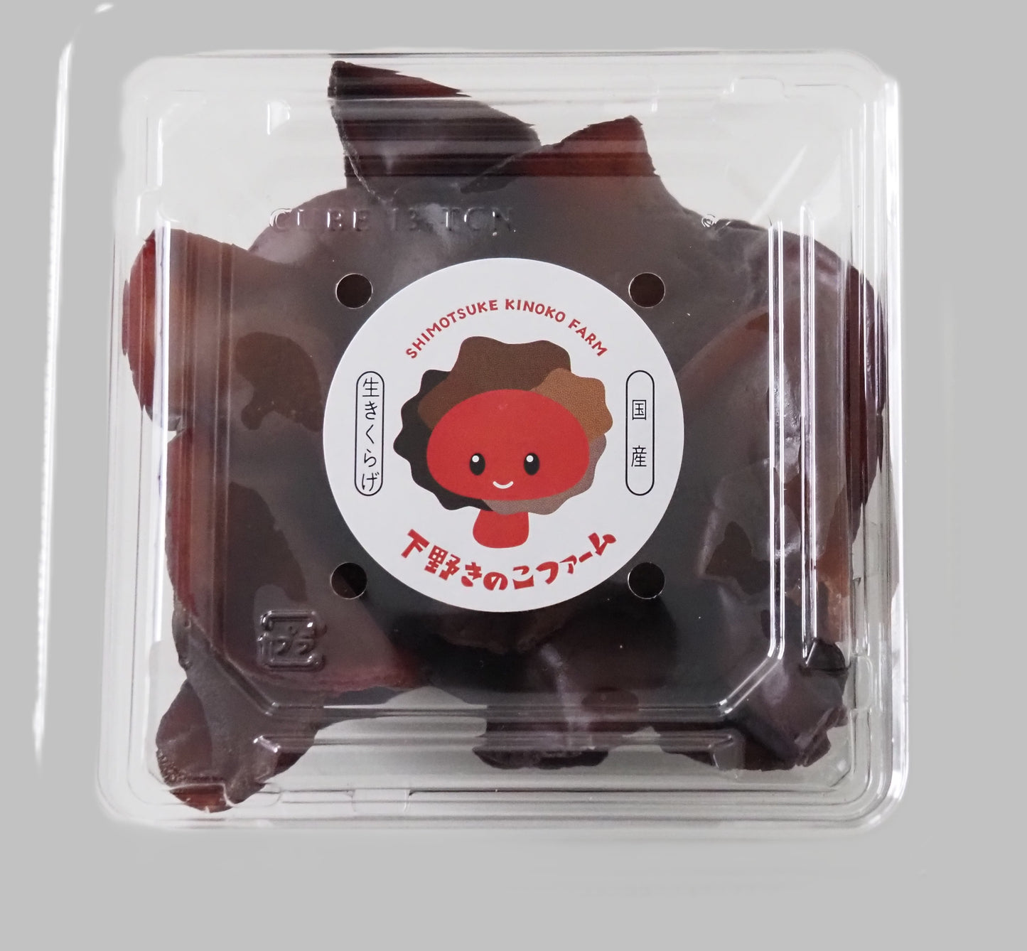 希少・国産 生きくらげ 50g x6パックセット