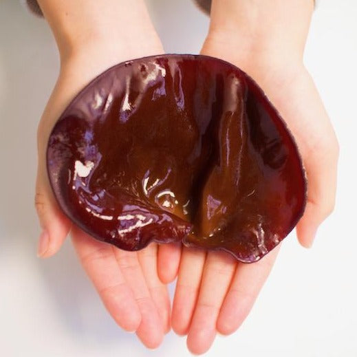 希少・国産 生きくらげ 50g x6パックセット