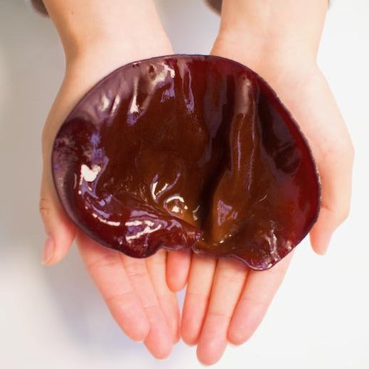 生きくらげ (特価)バラ売り(1kg)